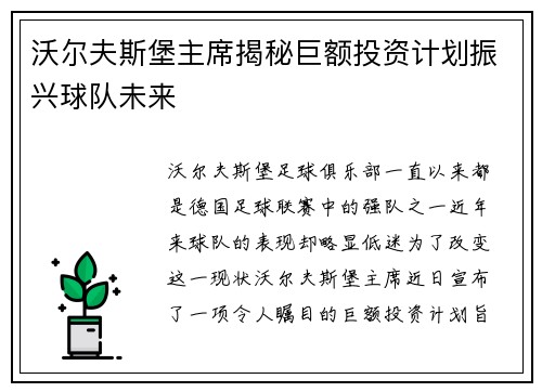 沃尔夫斯堡主席揭秘巨额投资计划振兴球队未来